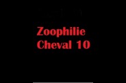 (BIZ020) Zoophilie Cheval 10