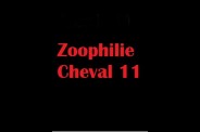 (BIZ021) Zoophilie Cheval 11