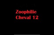 (BIZ022) Zoophilie Cheval 12