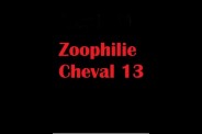 (BIZ023) Zoophilie Cheval 13