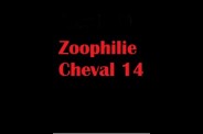 (BIZ024) Zoophilie Cheval 14