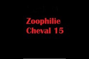 (BIZ025) Zoophilie Cheval 15