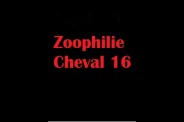 (BIZ026) Zoophilie Cheval 16