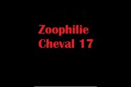 (BIZ027) Zoophilie Cheval 17