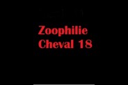 (BIZ028) Zoophilie Cheval 18