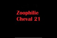 (BIZ031) Zoophilie Cheval 21