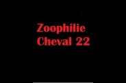 (BIZ032) Zoophilie Cheval 22