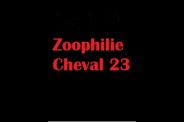 (BIZ033) Zoophilie Cheval 23