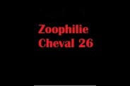 (BIZ036) Zoophilie Cheval 26