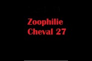 (BIZ037) Zoophilie Cheval 27