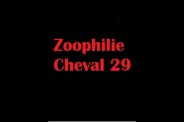 (BIZ039) Zoophilie Cheval 29