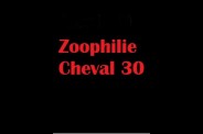 (BIZ040) Zoophilie Cheval 30