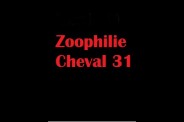 (BIZ041) Zoophilie Cheval 31