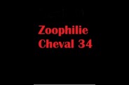 (BIZ044) Zoophilie Cheval 34