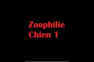 (BIZ046) Zoophilie Chien 1