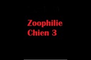 (BIZ048) Zoophilie Chien 3