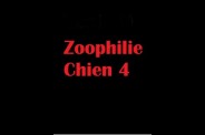 (BIZ049) Zoophilie Chien 4