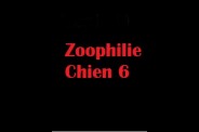 (BIZ051) Zoophilie Chien 6