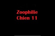 (BIZ056) Zoophilie Chien 11