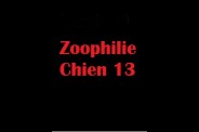 (BIZ058) Zoophilie Chien 13