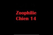 (BIZ059) Zoophilie Chien 14