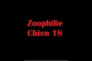 (BIZ063) Zoophilie Chien 18