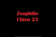 (BIZ068) Zoophilie Chien 23