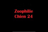 (BIZ069) Zoophilie Chien 24