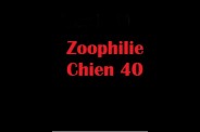 (BIZ085) Zoophilie Chien 40