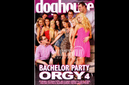 (DOG064) Bachelor Party Orgy 4