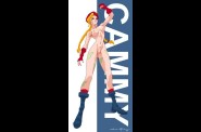 sf2_cammy025.jpg