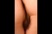 chattes_poilue_1113.jpg