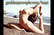 bast02-l.jpg