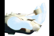 main_p_63_1.jpg