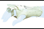 main_p_63_3.jpg
