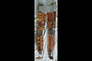 leg_brace_vintage.jpg