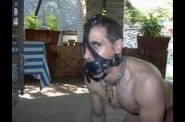 img-272454-1537823.jpg
