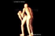 bosse_chameau_03.jpg