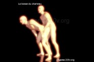 bosse_chameau_04.jpg