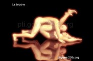 broche_01.jpg
