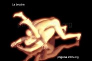 broche_04.jpg