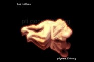 cuillere_04.jpg