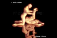 garde_chasse_01.jpg