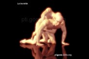 levrette_03.jpg