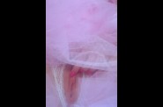 close_up_close_up132.jpg