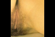 hairy_pussies_hairy_pussies043.jpg