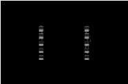 0.gif