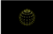 1567.gif