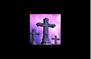 ctnwms815030230_1_.gif