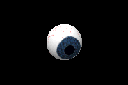 eye005_1_.gif